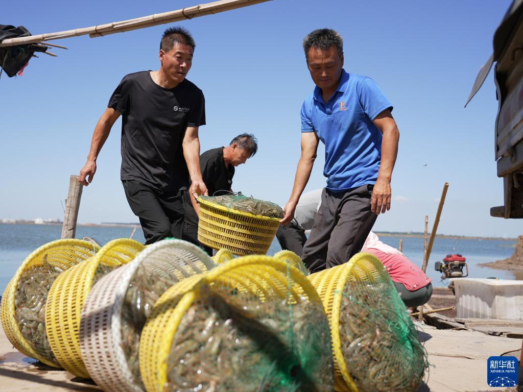 玩法金鲨银鲨